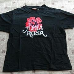 アルバローザ☆Tシャツ☆美品☆未使用品