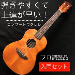 【誰でも楽々ウクレレ入門セット】Pudding ukulele【コンサート】