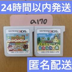 とびだせ どうぶつの森＆ハッピーホームデザイナー 3DS