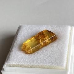 0.7g バルティックアンバー ケース入り コレクション