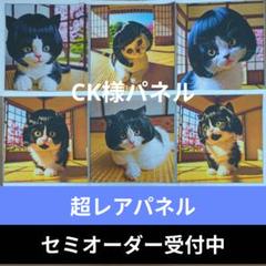 ♡セミオーダー受付中♡ おかっぱにゃんこ 猫 164 超レアパネル