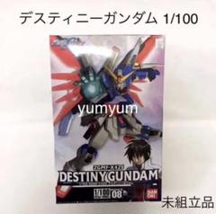 【未開封品】デスティニーガンダム 1/100 ZGMF-X42S