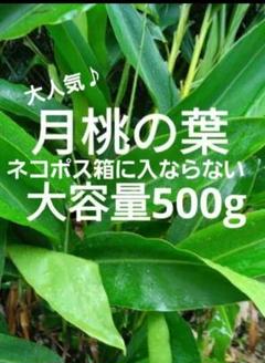 1ゆうパケットポスト発送用シール500枚　資材メルカリストアゆうゆうメルカリ便のサムネイル