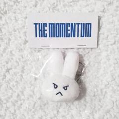 NCT 127 MOMENTUM 直筆マスコットキーホルダー ドヨン Doors