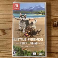 【新品】 Nintendo Switch LITTLE FRIENDS