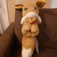 ※エラー品※ 一番くじ だっこしてイーブイ ポケモン 一番くじ B賞 だっこしてイーブイ ぬいぐるみ 紙タグ