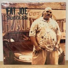 2025年最新】fat joe レコードの人気アイテム - メルカリ