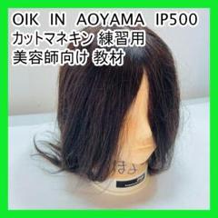 カットウィッグ　カットマネキン　美容師　理容師　新品未使用　ip500 2025年最新】ip500 ウィッグの人気アイテム - メルカリ