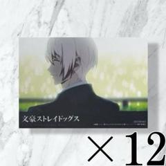 文豪ストレイドッグス 文スト アニメイト特典 ブロマイド 条野採菊