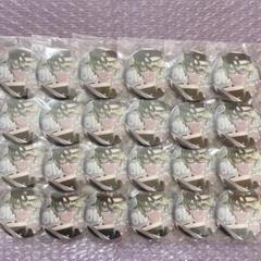 オレ達の遊ビバ! オレビバ! プテラたかはし 缶バッジ ワンナイトカーニバル m20093163082_1.jpg?1715516605