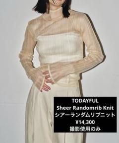 TODAYFUL トゥデイフル / Sheer Randomrib Knit シアーランダムリ