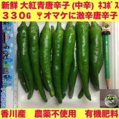 新鮮 激辛青唐辛子 緑色 5kg送料込み 自然農 青唐辛子 BIG FAMILY FARM (佐賀県産) 薬味・ハーブ通販
