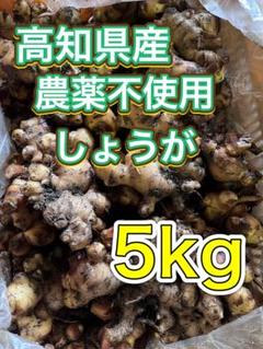 高知県産　農薬不使用有機肥料　生姜　5kg 高知県産 農薬不使用有機肥料 生姜 5kg - メルカリ