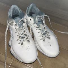 ASICS nova surge low 27.5cm アシックス　バッシュ