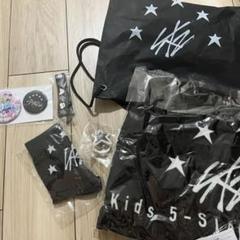 straykids エコパ アプグレ アップグレード 特典 グッズ 1式セット straykids エコパ アプグレ アップグレード 特典 グッズ 1式