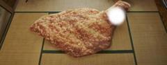 2025年最新】モスチキン寝袋の人気アイテム - メルカリ