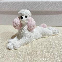 エイコ様