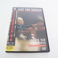 ルードヴィヒ ~Beethoven The Piano~ 豪華特典版DVD 中村倫也 ルードヴィヒ Beethoven The Piano DVD その他