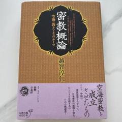 密教概論 越智智仁著 400ページ