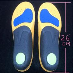 26cm