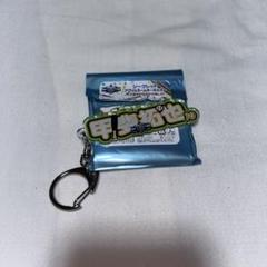 オールスター シークレットアクリルネームキーホルダー 甲斐選手