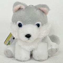 2025年最新】もふっとオオカミぬいぐるみの人気アイテム - メルカリ