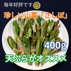 21日発送 秋田県産 天然さしぼ イタドリの芽 400g - メルカリ