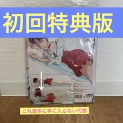 超レア非売品ゲゲゲの鬼太郎 ねこ娘抱き枕カバー ゲゲゲの鬼太郎 ねこ娘 抱き枕カバー 富士浅間堂 猫娘