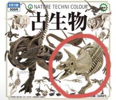 ネイチャーテクニカラー　古生物　恐竜　生き物　フィギュア　カプセルトイ ネイチャーテクニカラー 古生物 トリケラトプス 黄土化石色 いき