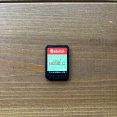 Nintendo Switch どうぶつの森