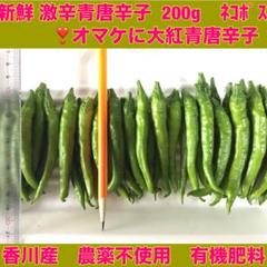 5)激辛青唐辛子200g 青唐辛子❣️オマケに大紅唐辛子☆ネコポス