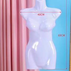 トルソー 半面 半身 ハンガータイプ コスプレ 展示 省スペース 女性用