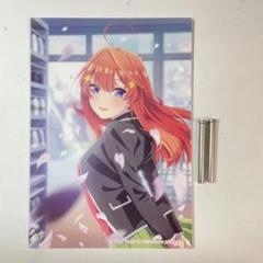 五等分の花嫁　サクラサク　アクリルスタンド きゃらっとくじ 五等分の花嫁 サクラサク P賞 コレクション