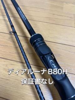 シマノ ディアルーナ S806ML シーバスロッド穂先の補修歴あり