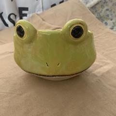 蚊取り　カエル