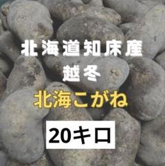 2025年最新】北海こがねの人気アイテム - メルカリ