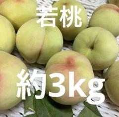 2025年最新】山梨県産若桃の人気アイテム - メルカリ