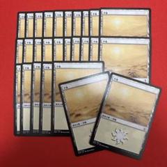 買取相場】-MtG-(英)平地 / Plains【JMP】 (Dogs) No.045