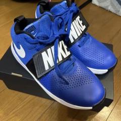 Nike Team Hustle バスケットシューズ　23.5センチ　新品未使用 バスケットボール,ミニバス シューズのナイキ NIKE ジュニア