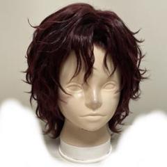 【特別セール品】 毛利寿三郎風ウィッグ テニプリ コスプレ メルカリ - コスプレ衣装