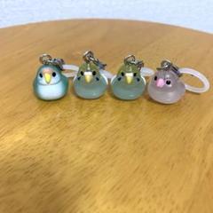 めじるしアクセサリー　ゆらりことりNEW 鳥　bird インコ　ガチャ