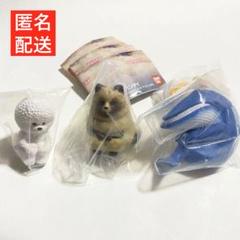 未開封 まちぼうけ11 ガチャ ビションフリーゼ タヌキ シロナガスクジラのサムネイル