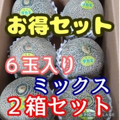 長崎県島原半島産タカミメロン6玉入×2箱セット(ミックス) お得！長崎県島原半島産タカミメロン6玉入×2箱セット(ミックス