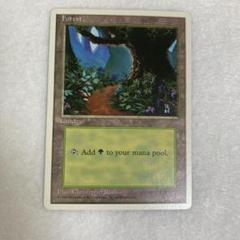 【MTG】森/Forest　初代アリーナランド版10枚セット 森/Forest》[初代アリーナランド] 土地 | 日本最大級 MTG通販