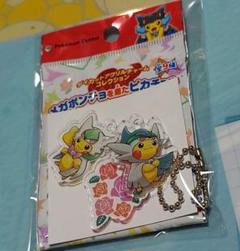 ダイカットアクリルチャームコレクション メガポンチョを着たピカチュウ BOX ポケモンセンター限定 メガポンチョを着たピカチュウ アクリル