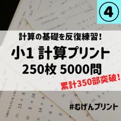 【小1計算250枚5000問】入学準備、幼稚園、小学校受験、七田式、公文、こぐま