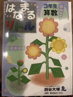 はなまるリトル 3年生 算数