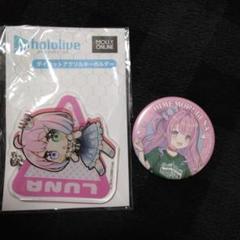 六 ホロライブ 姫森ルーナ まとめ売 缶バッジ アクリルキーホルダー