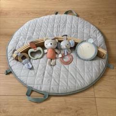インジェニュイティ コージースポット リバーシブルジム