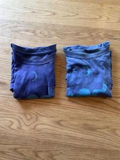 パタゴニアTシャツ２枚 Patagonia オーガニックコットン　kids M